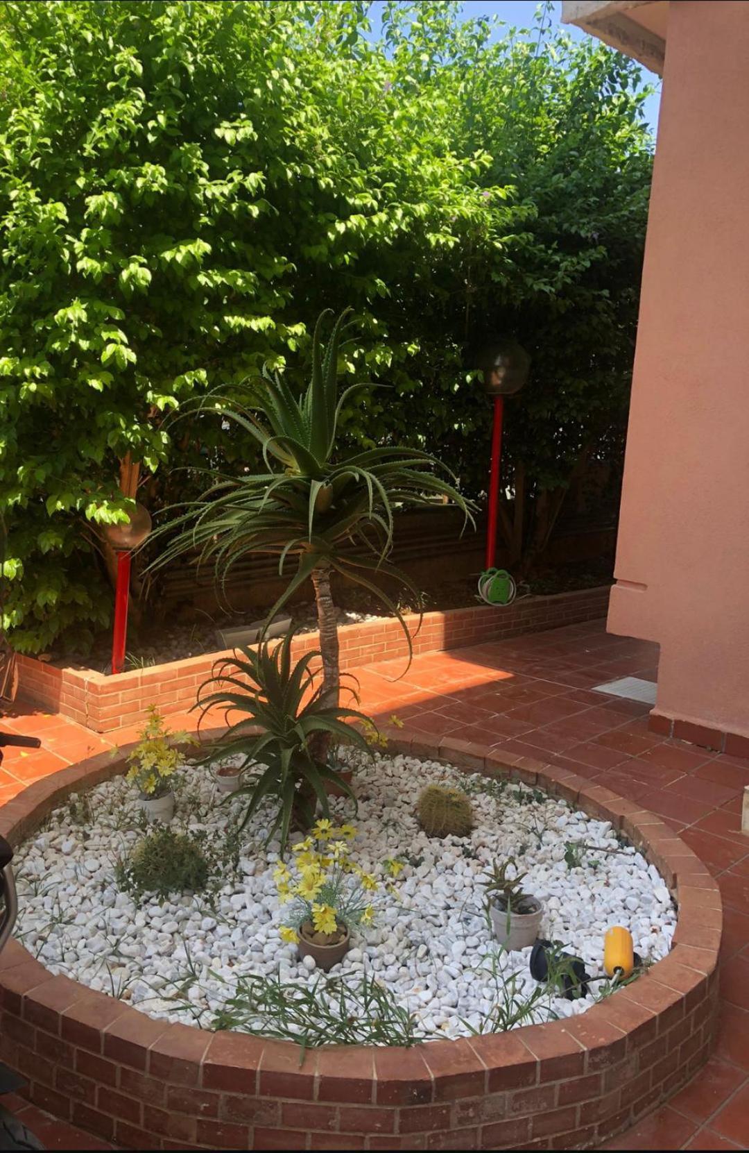 Mondello House Lemon Apartamento Palermo Exterior foto