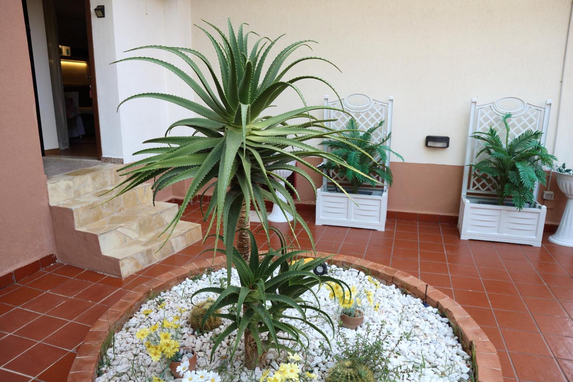Mondello House Lemon Apartamento Palermo Exterior foto