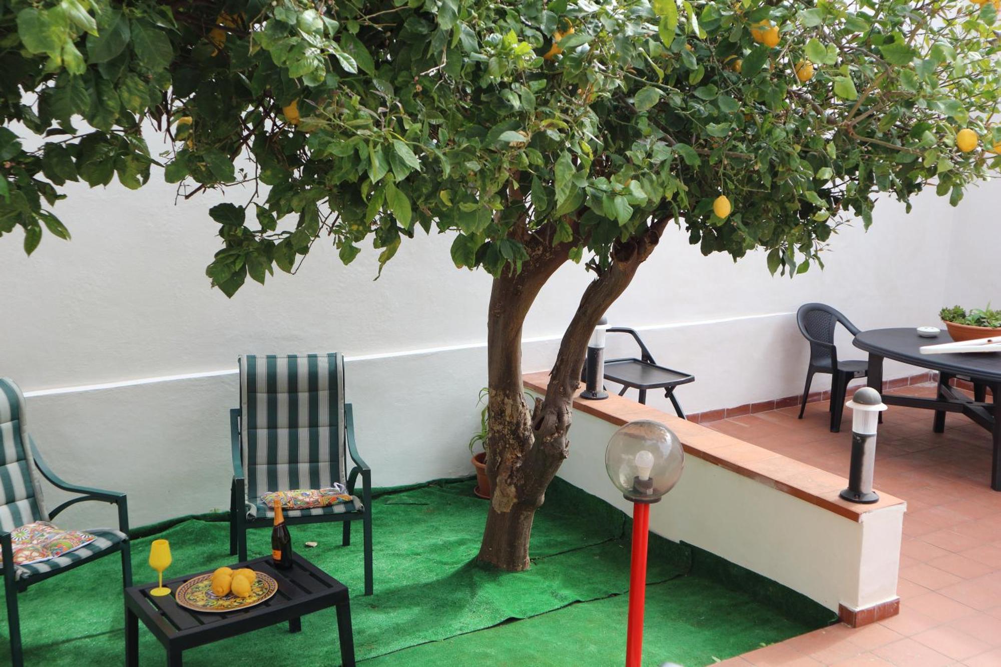 Mondello House Lemon Apartamento Palermo Exterior foto